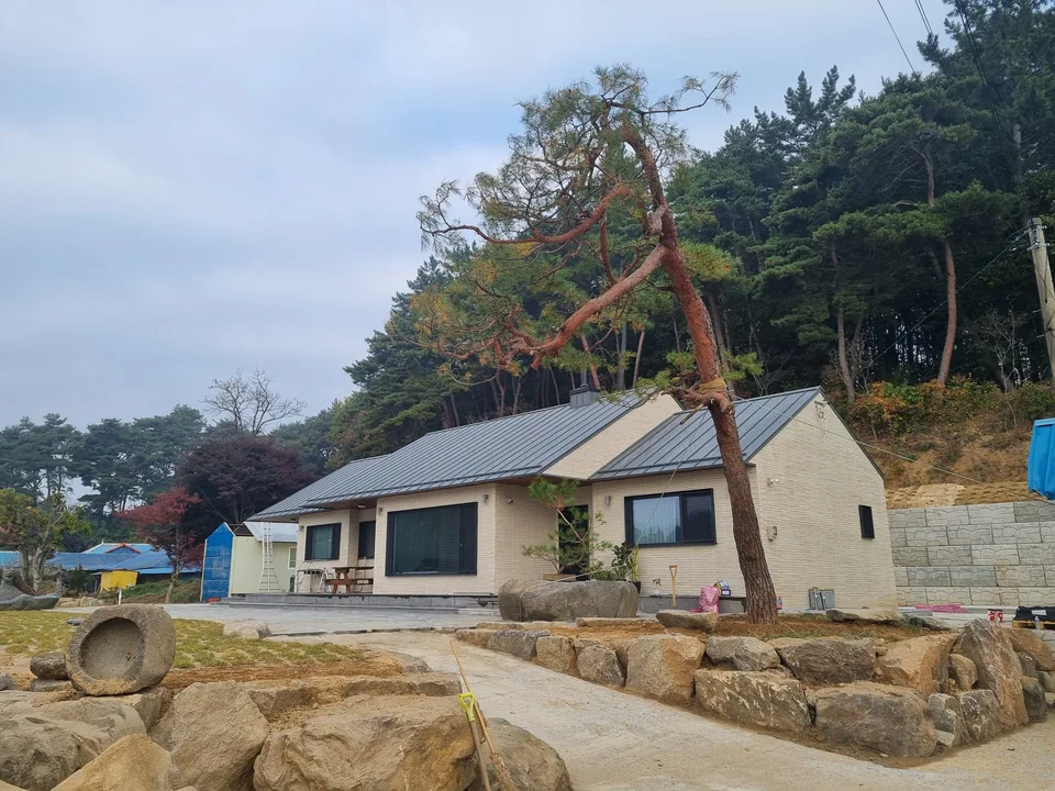 충남 서천 42.6평 단층 주택 외관 — 소나무와 조경석이 있는 마당